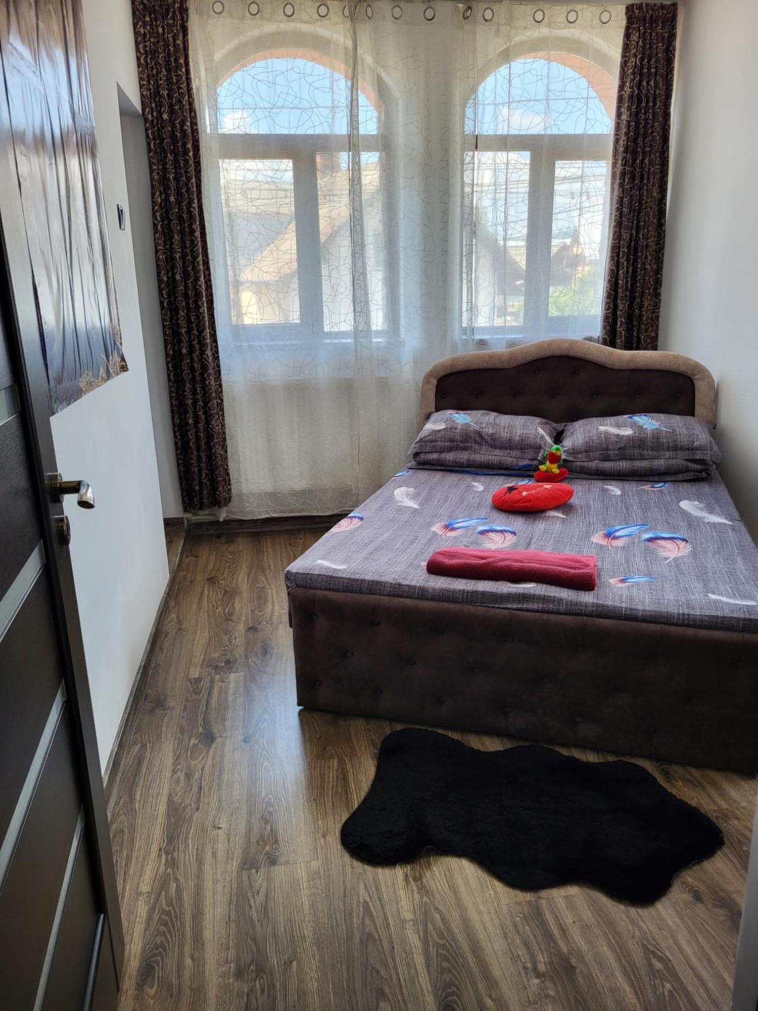 Câmpulung Moldovenesc Casa Rarauluiヴィラ エクステリア 写真