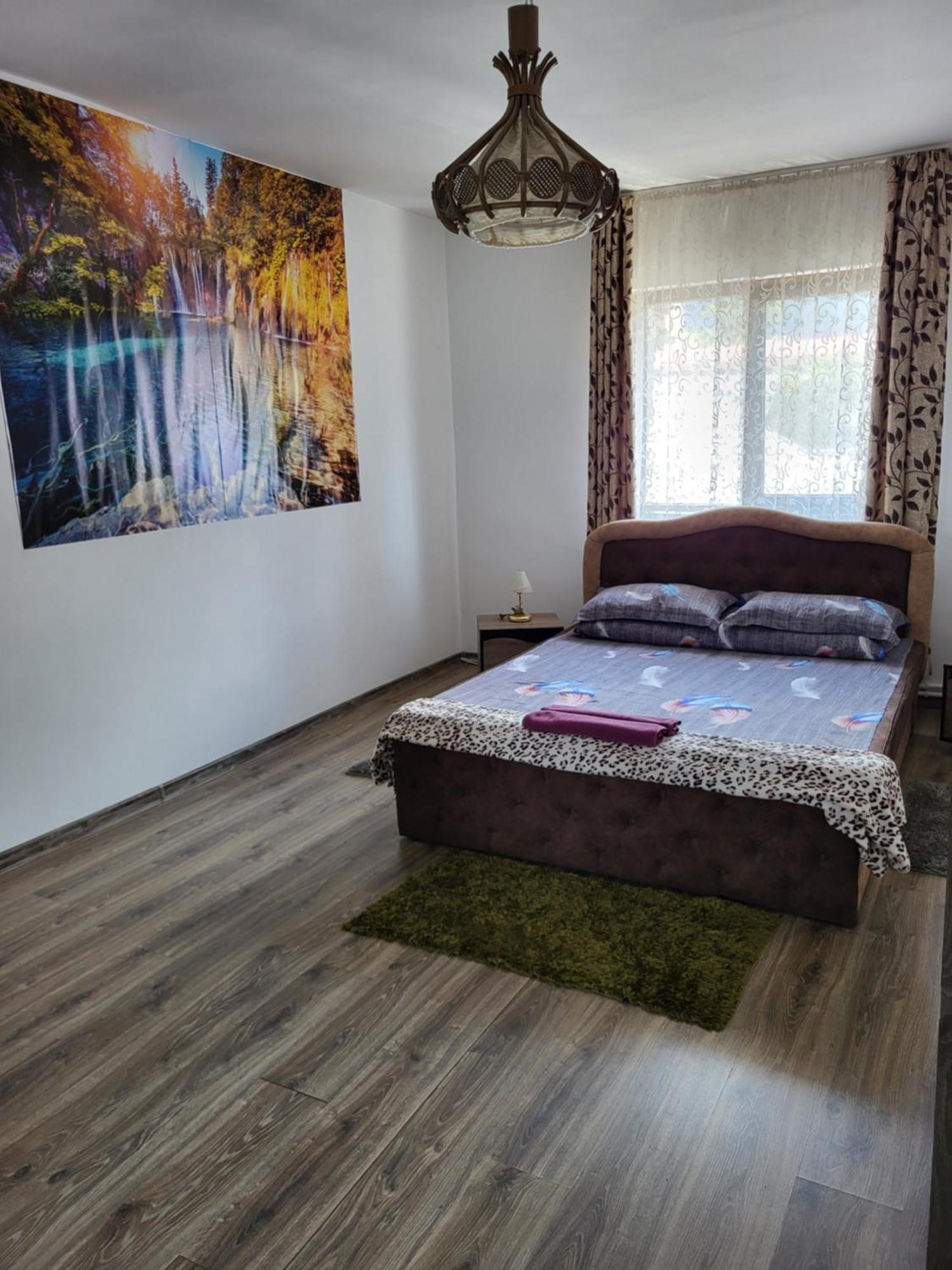 Câmpulung Moldovenesc Casa Rarauluiヴィラ エクステリア 写真