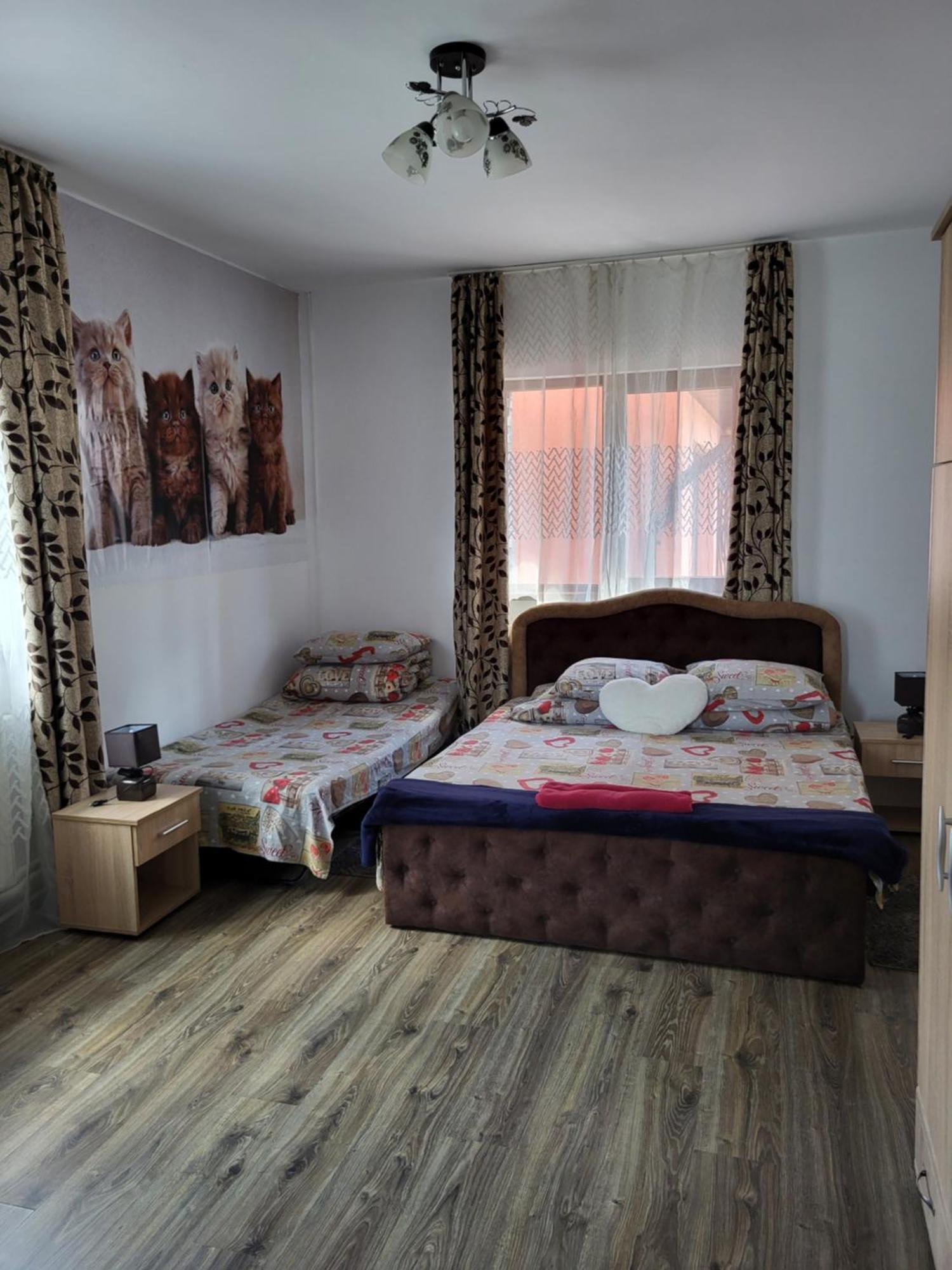 Câmpulung Moldovenesc Casa Rarauluiヴィラ エクステリア 写真